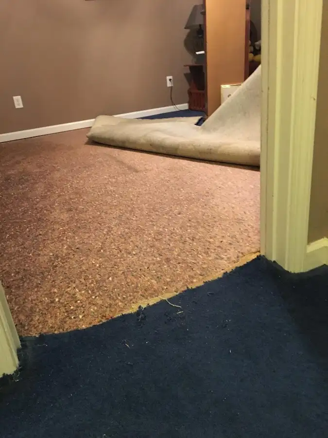 Carpet pad removal revealing water damage during Drying & Dehumidification in Bradenton