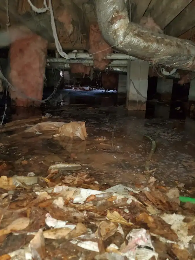 Crawl space flood assessment for Leak Detection & Repair in Bradenton