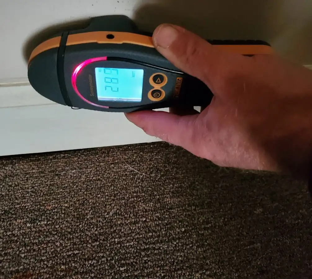 Moisture detection at baseboard during Mold Inspection & Testing in Bradenton